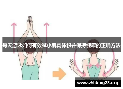 每天游泳如何有效减小肌肉体积并保持健康的正确方法 每天游泳如何有效减小肌肉体积并保持健康的正确方法