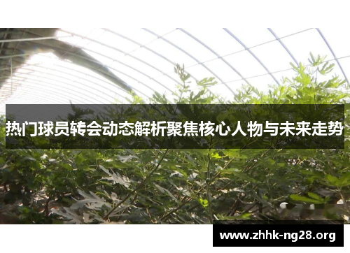 热门球员转会动态解析聚焦核心人物与未来走势 热门球员转会动态解析聚焦核心人物与未来走势