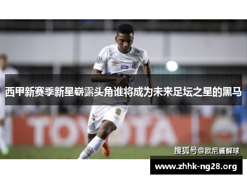 西甲新赛季新星崭露头角谁将成为未来足坛之星的黑马 西甲新赛季新星崭露头角谁将成为未来足坛之星的黑马